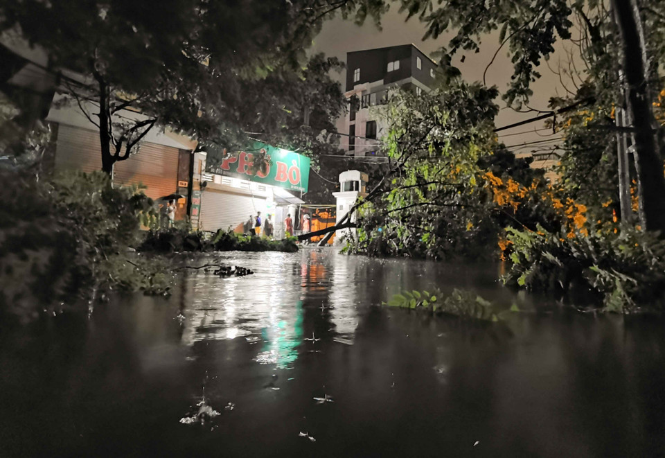 Nước ngập, cây đổ khắp nơi dọc con phố. (Ảnh: Thanh Tùng/TTXVN)