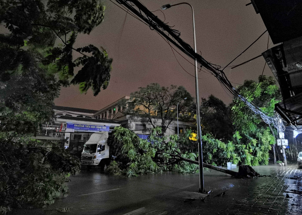 Cây đổ từ đường bên này vướng cành lên xe tải đỗ trước cổng Trường Tiểu học Vĩnh Tuy. (Ảnh: Thanh Tùng/ TTXVN)