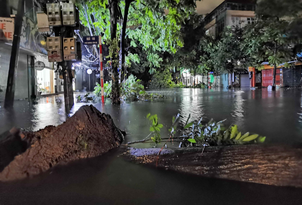 Hai hàng cây bên đường đổ la liệt. (Ảnh: Thanh Tùng/TTXVN)