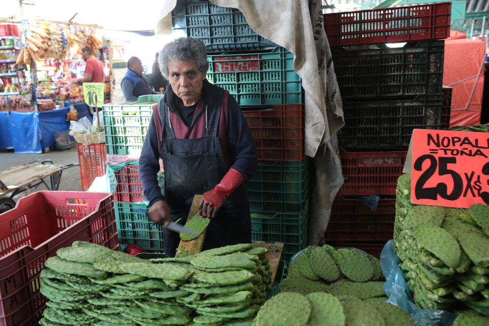 Central de Abasto đóng vai trò thu hút, tập trung lượng hàng hóa lớn từ các nguồn sản xuất, kinh doanh của khu vực kinh tế hoặc của ngành hàng để tiếp tục phân phối tới các chợ và các kênh lưu thông khác.(Ảnh: Vietnam+)