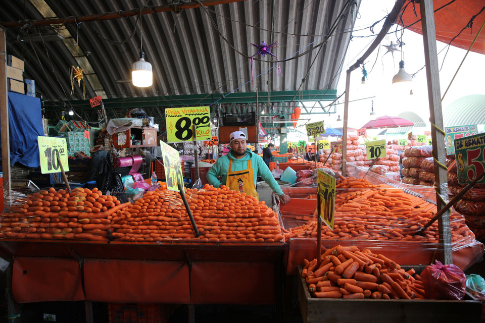 Bắt đầu đi vào hoạt động từ năm 1982, chợ đầu mối Central de Abasto được xây dựng trên khu vực đất canh tác nông nghiệp tại vùng ven thủ đô Mexico City nhằm làm giảm mật độ giao thông trong nội đô. (Ảnh: Vietnam+)