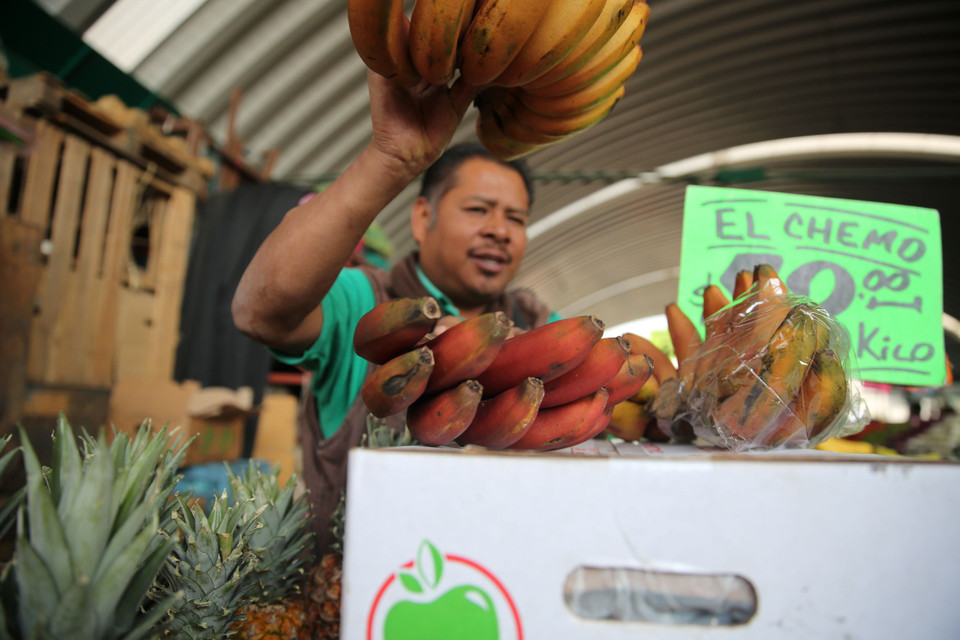 Những năm gần đây, Central de Abasto mở cửa cho khách hàng tiêu dùng cá nhân.(Ảnh: Vietnam+)