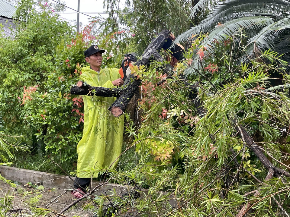 Lực lượng chức năng thu dọn cây cối ngã đổ trên đường. (Ảnh: Trần Tĩnh/TTXVN)