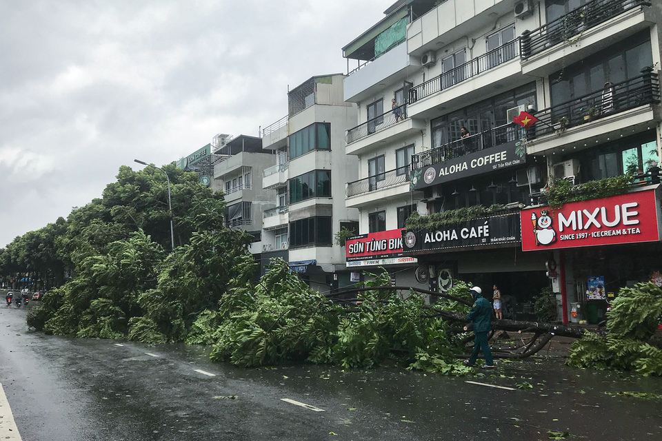 Ghi nhận vào chiều nay 7/9, cây xanh ở nhiều khu vực trên địa bàn Thủ đô Hà Nội bị gãy, đổ hàng loạt do ảnh hưởng của siêu bão Yagi. (Ảnh: Việt Anh/Vietnam+)