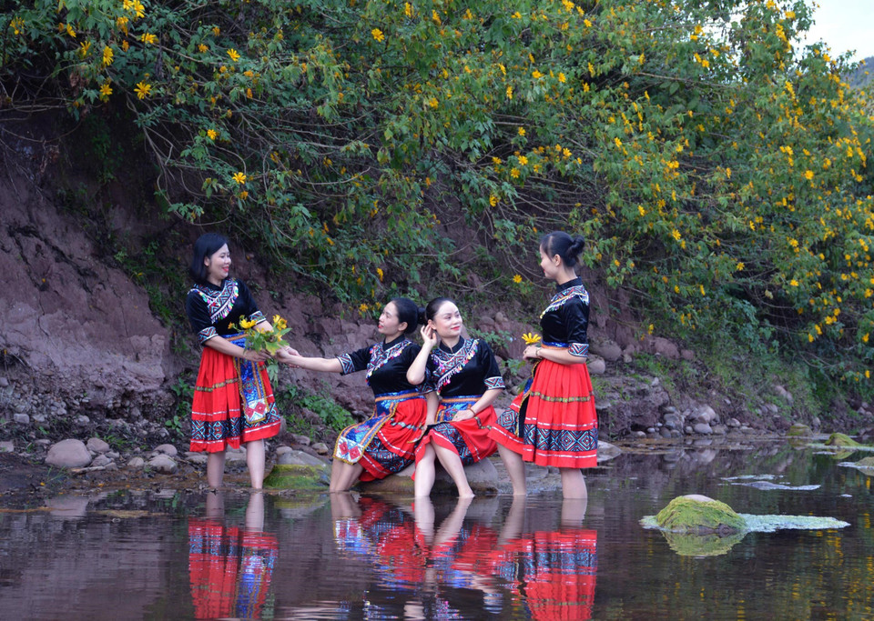 Vẻ đẹp của hoa dã quỳ khoe sắc bên suối luôn có sức hút đối mọi người trong hành trình đến với Mường Nhé, khám phá cực Tây Tổ quốc. (Ảnh: Xuân Tiến/TTXVN)