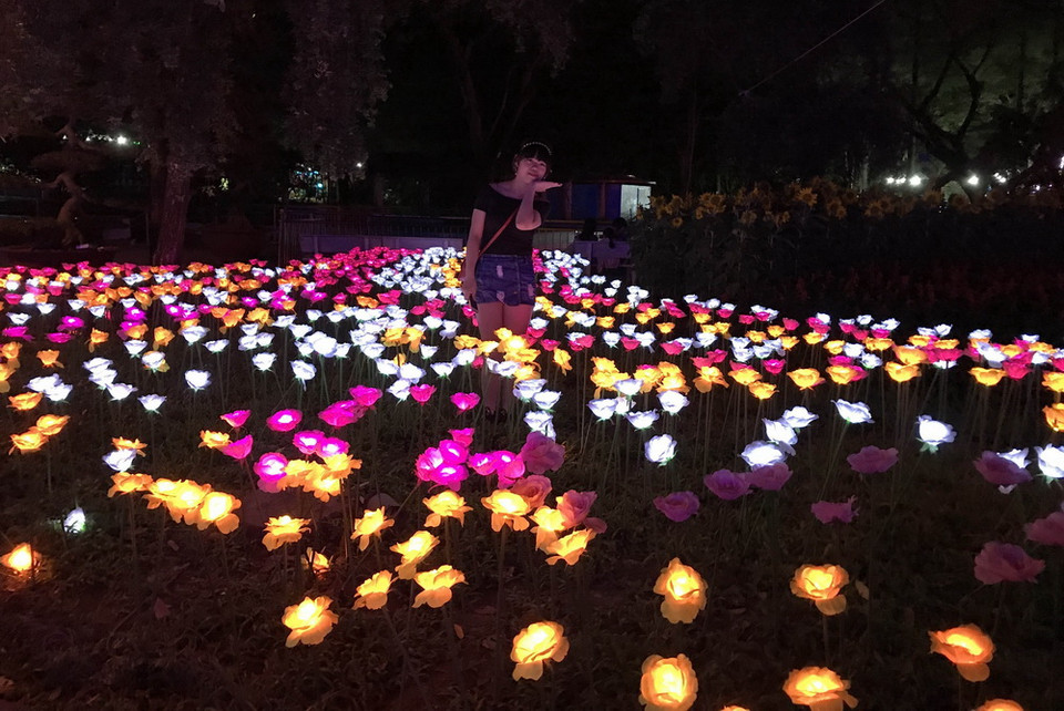 (Ảnh: Phương Vy/TTXVN)