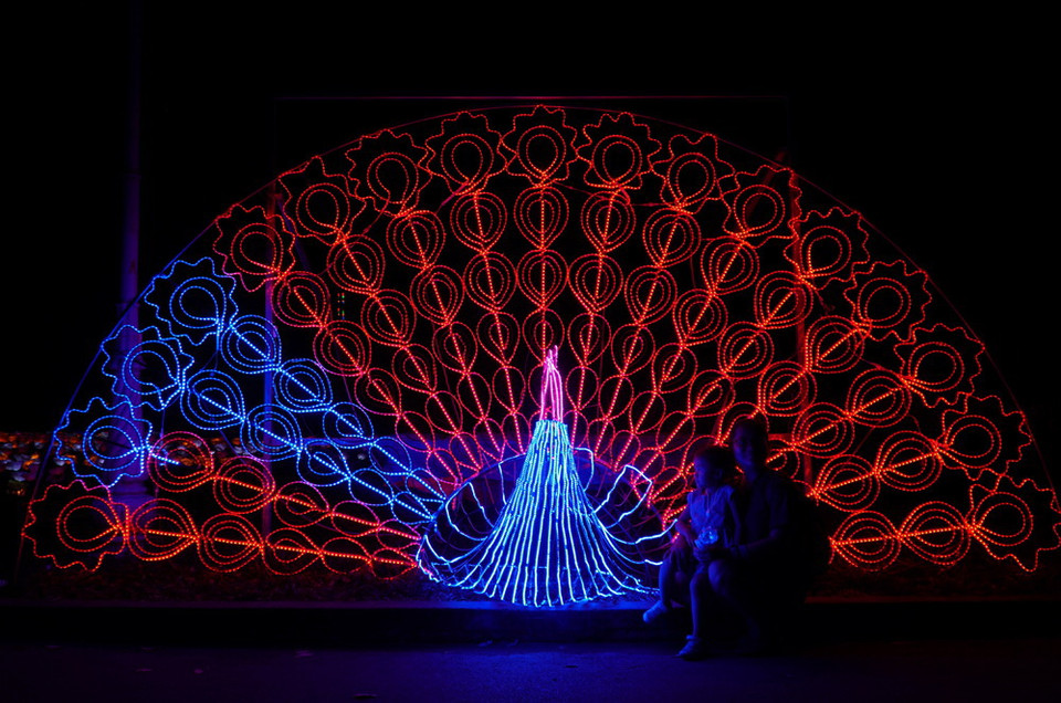 (Ảnh: Phương Vy/TTXVN)