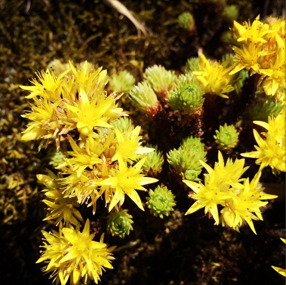 (Ảnh: Xuân Mai/Vietnam+)