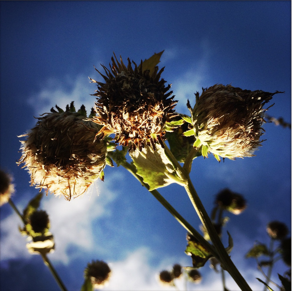 (Ảnh: Xuân Mai/Vietnam+)