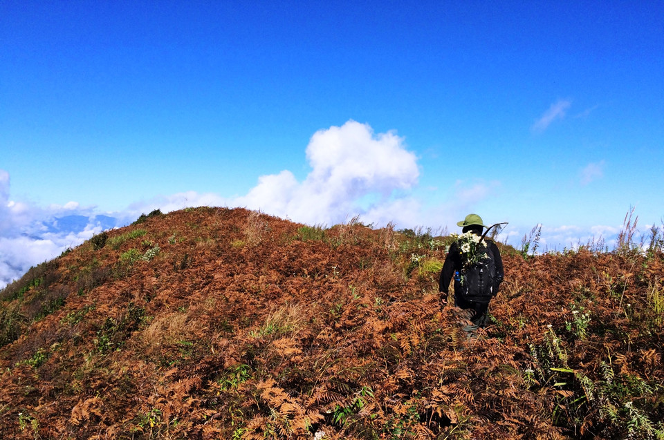 Cuối năm là thời điểm dân 'trek' bắt đầu cho những cung đường leo núi mới... (Ảnh: Xuân Mai/Vietnam+)
