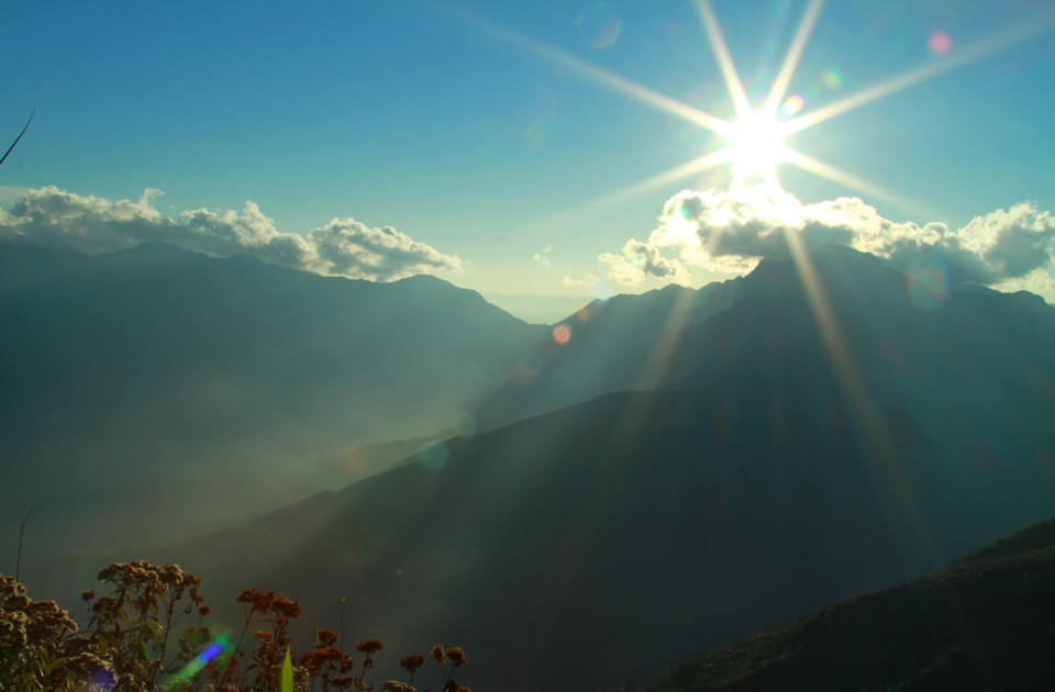 Nơi đây là lãnh địa của cây bụi và trúc lùn cao không quá đầu người. (Ảnh: Xuân Mai/Vietnam+)