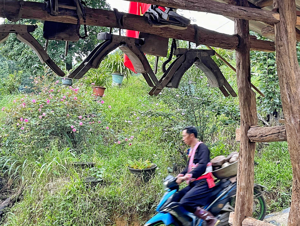 Người dân trong bản tự nuôi lợn, gà, trồng rau phục vụ khách tại chỗ, tránh được những thực phẩm dùng chất bảo quản hoặc dùng chất kích thích. (Ảnh: Xuân Mai/Vietnam+)