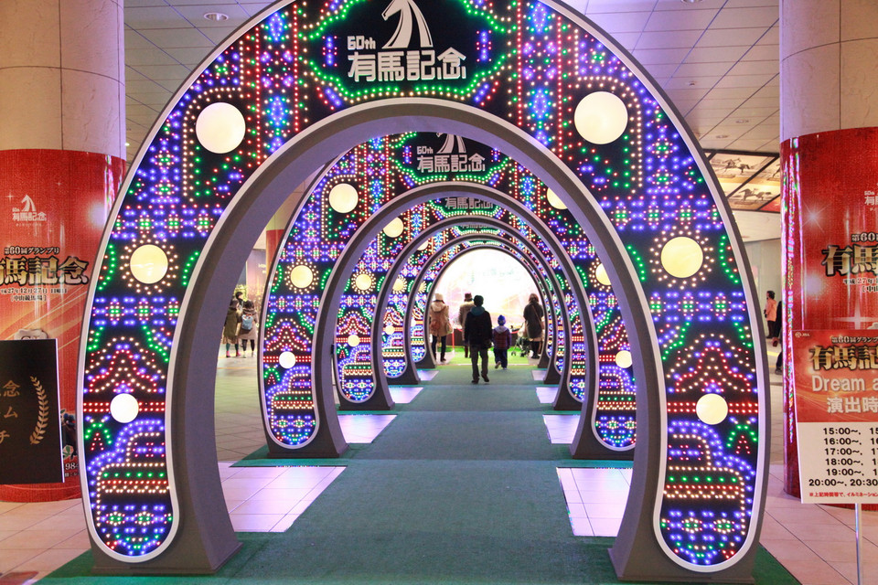 (Ảnh: Nguyễn Tuyến/Vietnam+)