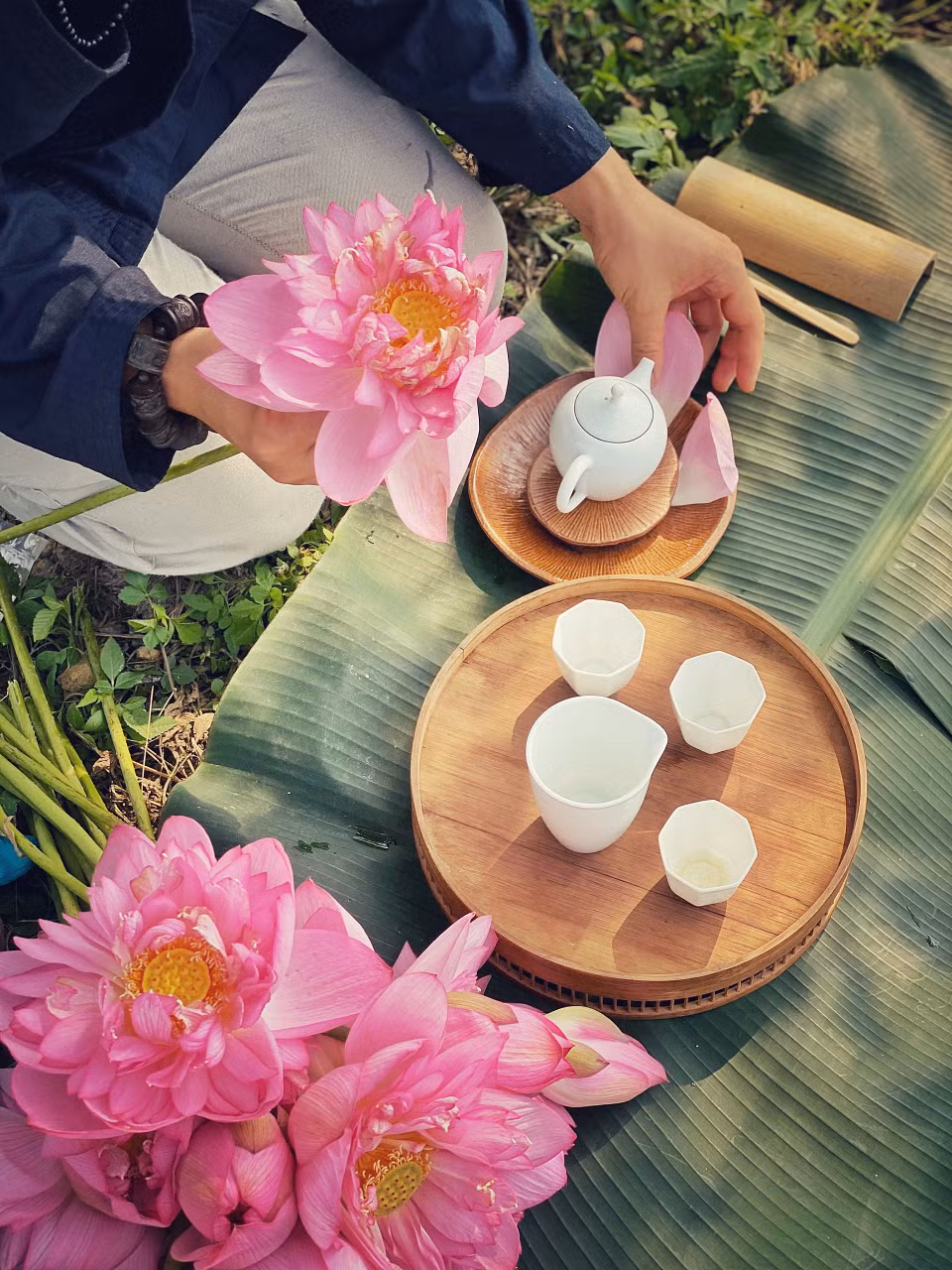 Chuẩn bị một ấm trà sen sớm ngay bên đầm sen đang bung nở những bông hoa đầu mùa có hương thơm thanh khiết nhất. (Ảnh: Xuân Mai/Vietnam+)