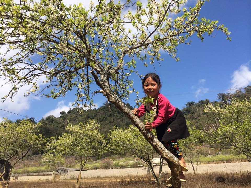 Nụ cười của em bé ở Loóng Luông, huyện Mộc Châu, tỉnh Sơn La. (Ảnh: Xuân Mai/Vietnam+)