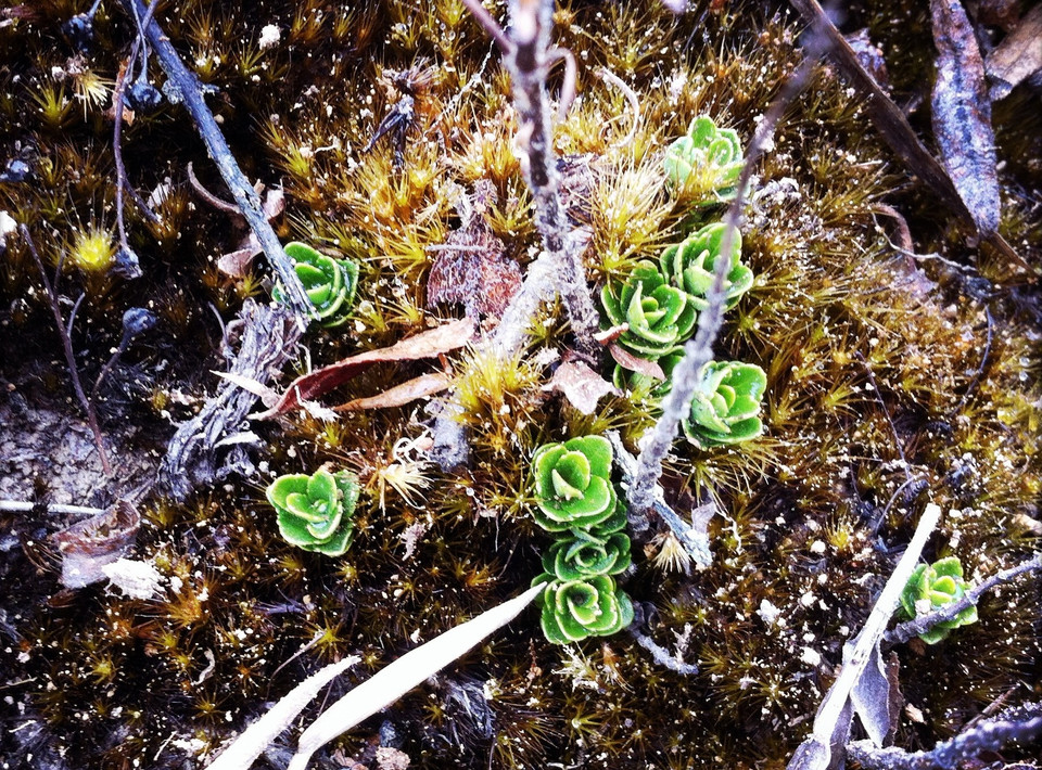 (Ảnh: Mai Mai/Vietnam+)