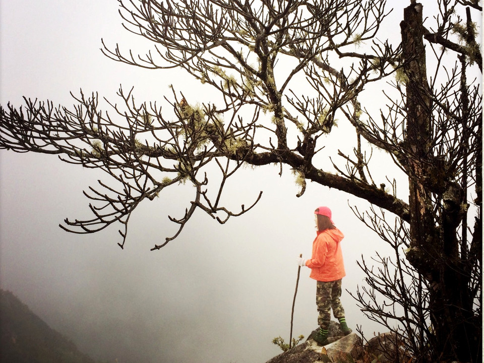 Lên đỉnh để cảm nhận vẻ đẹp hùng vỹ của núi rừng Tây Bắc. (Ảnh: Mai Mai/Vietnam+)
