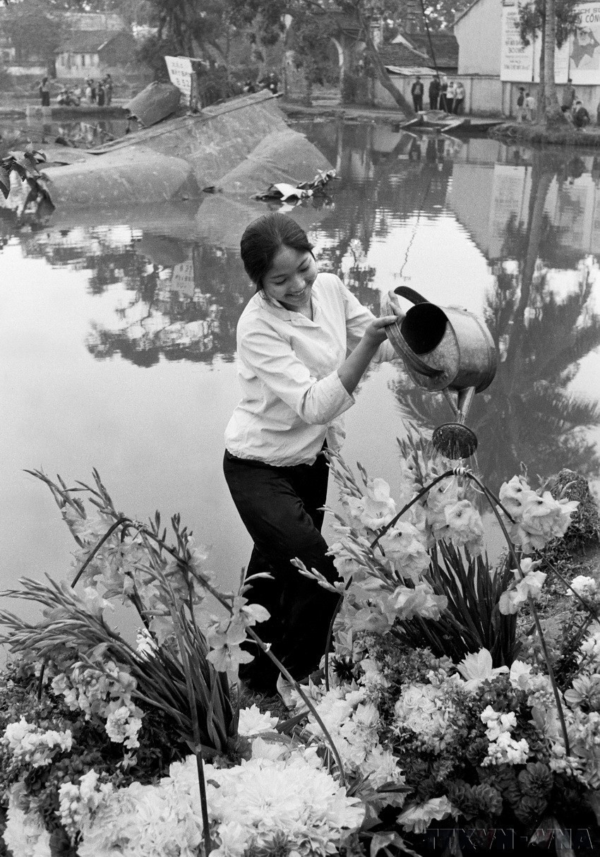 Thiếu nữ Làng hoa Ngọc Hà tưới hoa, đón mùa xuân Chiến thắng bên xác máy bay B52 Mỹ vừa bị quân và dân Hà Nội bắn rơi (12-1972). (Ảnh: Văn Bảo/TTXVN)