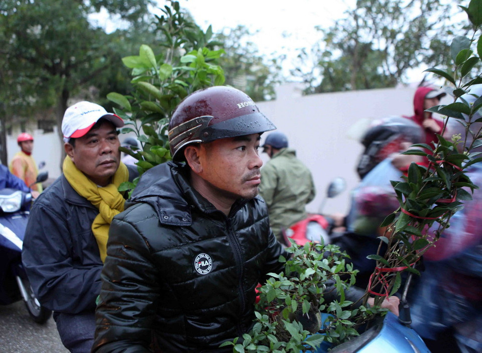 Du khách thập phương đã chọn mua cho mình một giống cây ưng ý để lấy may đầu xuân năm mới. (Ảnh: Quý Trung/TTXVN)