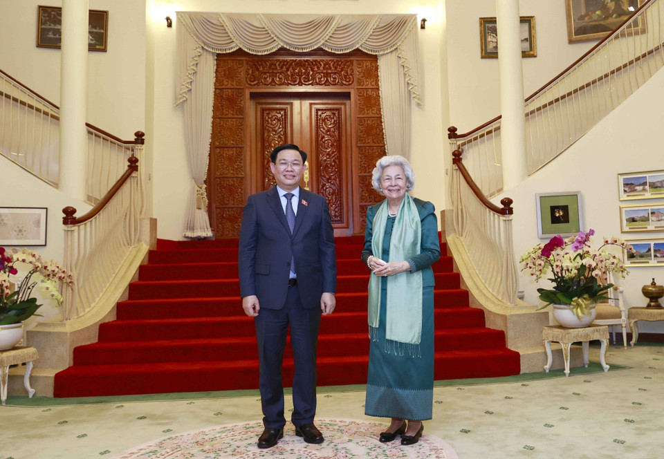 Chủ tịch Quốc hội Vương Đình Huệ yết kiến Hoàng Thái hậu Campuchia Norodom Monineath Sihanouk. (Ảnh: Doãn Tấn/TTXVN)