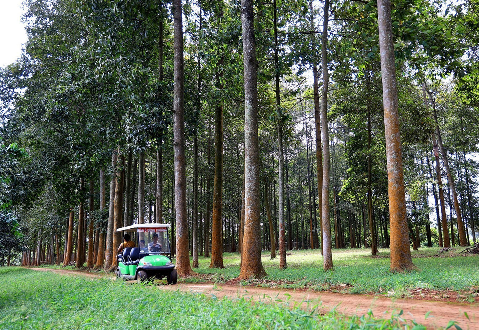 Du khách khám phá khu du lịch Đảo Ó-Đồng Trường bằng xe điện. (Ảnh: Hồng Đạt /TTXVN)