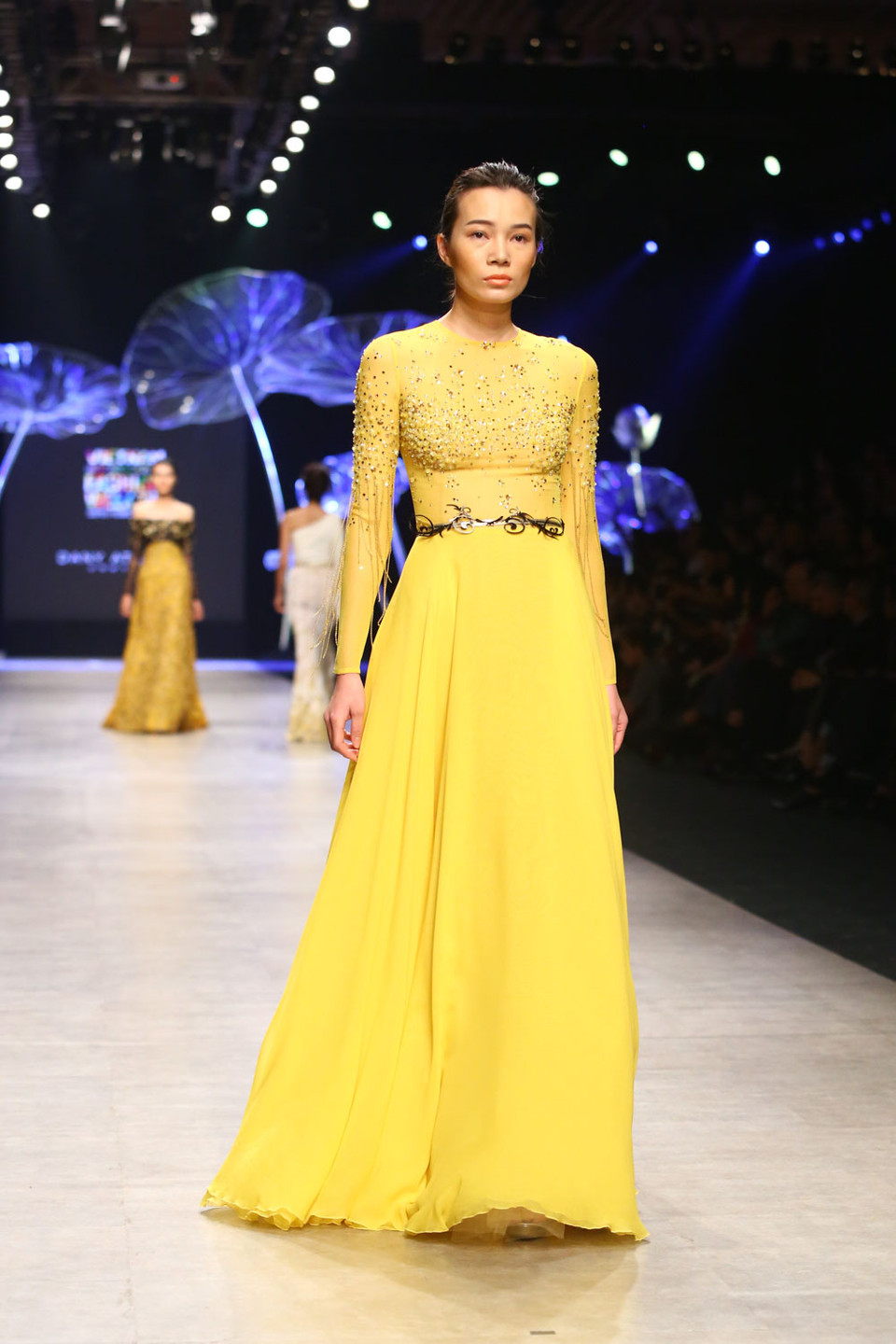 Sau khi làm việc tại Paris 12 năm với các nhà mốt hàng đầu của Pháp như Dior, Montana và Torente Uniforme, Dany quyết định quay trở lại Lebanon với mục tiêu biến giấc mơ thời trang của mình thành hiện thực. 