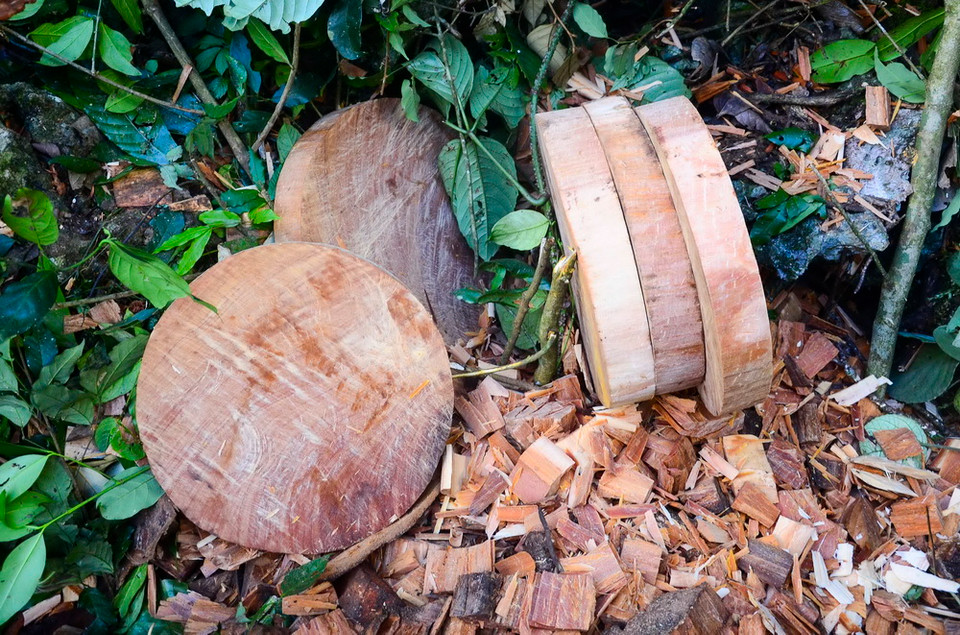  ...và chế tác thành những chiếc thớt. (Ảnh: Xuân Tư/TTXVN) 