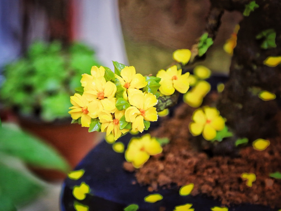 Anh cho hay, những chiếc bánh đều được làm thủ công hoàn toàn. Dù là bánh kem bơ nhưng ăn không gây cảm giác ngấy vì nguyên liệu làm từ kem bơ cao cấp của Hàn Quốc, hợp khẩu vị người Việt. (Ảnh: Tố Linh/Vietnam+)