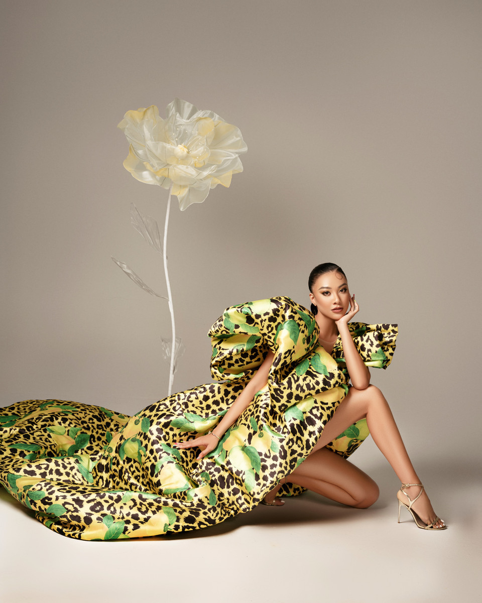 (Ảnh: CTV/Vietnam+)