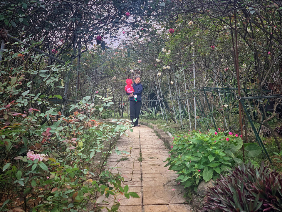 (Ảnh: M.Mai/Vietnam+)