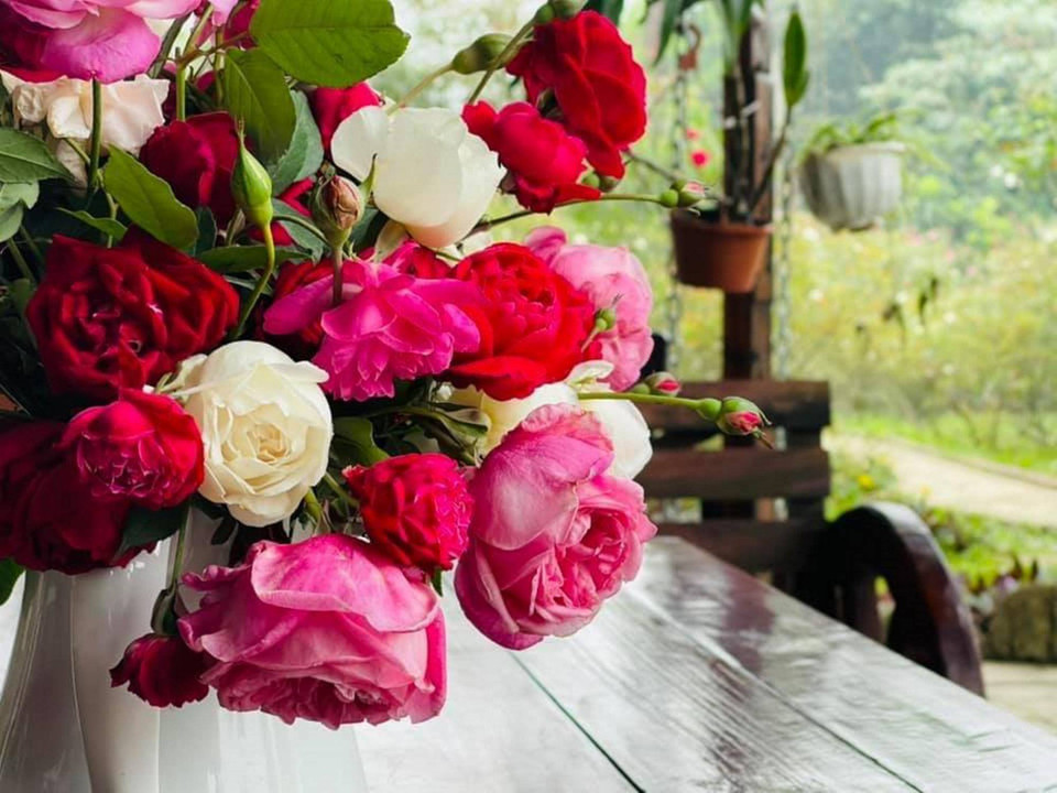 (Ảnh: Thanh Hằng/Vietnam+)