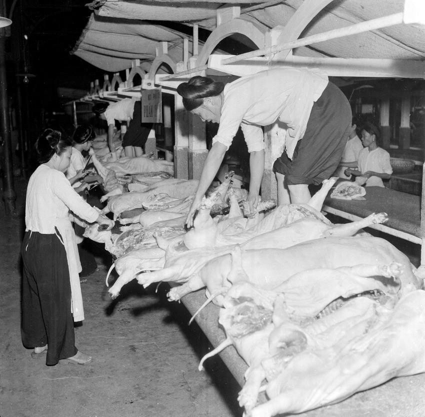 Nhân viên tổ bán thịt lợn tại chợ Sắt, Hải Phòng chuẩn bị thịt lợn để phục vụ nhân dân (tháng 11/1961). (Ảnh: Vũ Tín/TXVN)