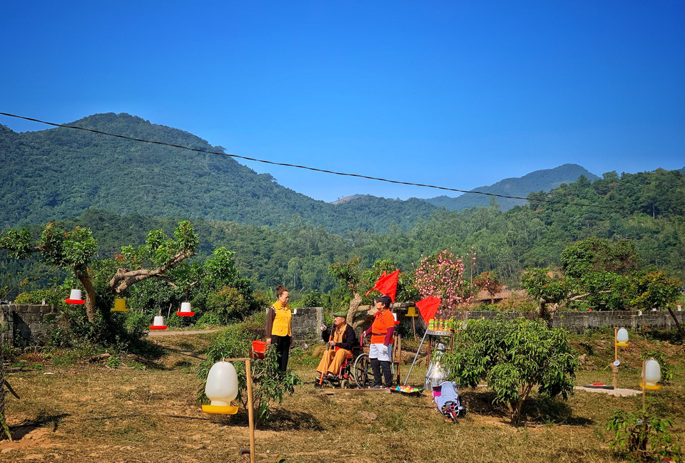 Vườn nhãn cổ thụ độc đáo và đẹp mắt này còn trở thành phim trường cho bộ phim hài đang được bấm máy và sẽ sớm ra mắt khán giả dịp Tết Nguyễn Đán Nhâm Dần. (Ảnh: Mai Mai/Vietnam+)