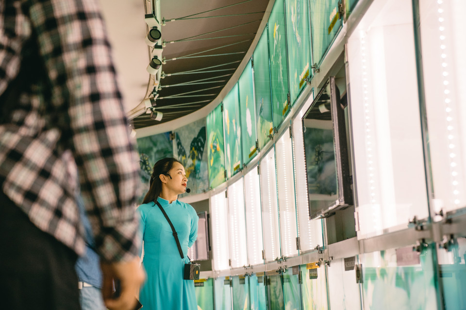 Tất cả đều được hướng dẫn viên giới thiệu theo trình tự thời gian, giúp du khách dễ dàng tiếp nhận thông tin. (Ảnh: Bảo Khánh/Vietnam+)