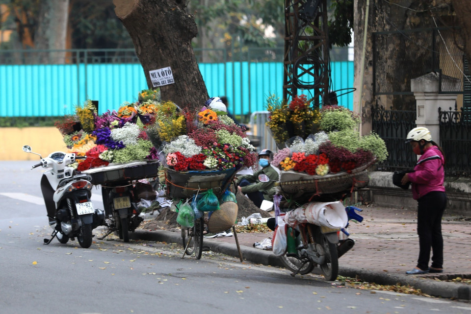 Cả dọc đường Mai Xuân Thưởng, nút giao đường Thanh Niên-Hoàng Hoa Thám không còn cảnh tấp nập người mua hoa như mọi năm. (Ảnh: Thành Đạt/TTXVN)