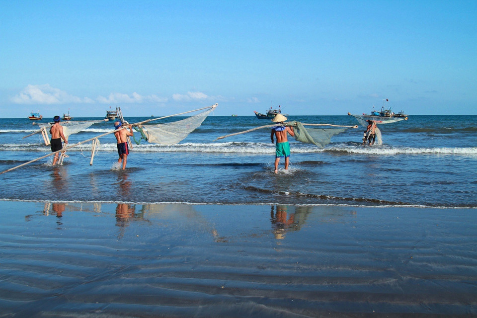 Theo những ngư dân già cho hay, mùa kéo ruốc biển bắt đầu từ khoảng tháng Mười hàng năm. Khi trời yên, biển lặng là ruốc bắt đầu về, nhiều nhất vào dịp Tết Nguyên đán và kết thúc vào đầu tháng Tư năm sau. (Ảnh: Xuân Mai/Vietnam+)