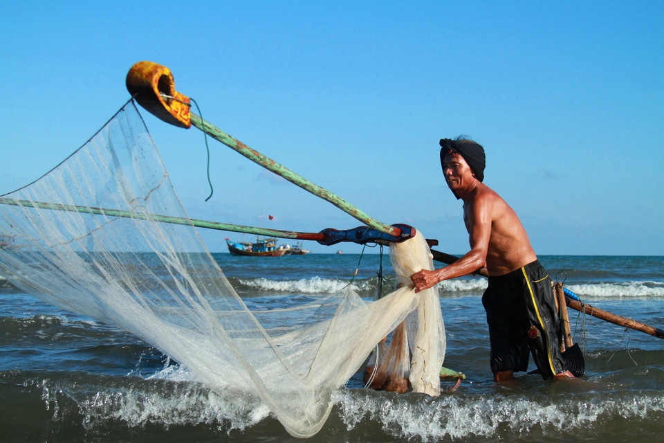 Gỏi ruốc tươi chế biến rất đơn giản: ruốc bắt từ biển lên còn nhảy tanh tách, đỏ au được nhặt sạch rác hay cá tạp, sau đó rửa sạch bằng nước biển rồi vắt ráo nước... (Ảnh: Xuân Mai/Vietnam+)