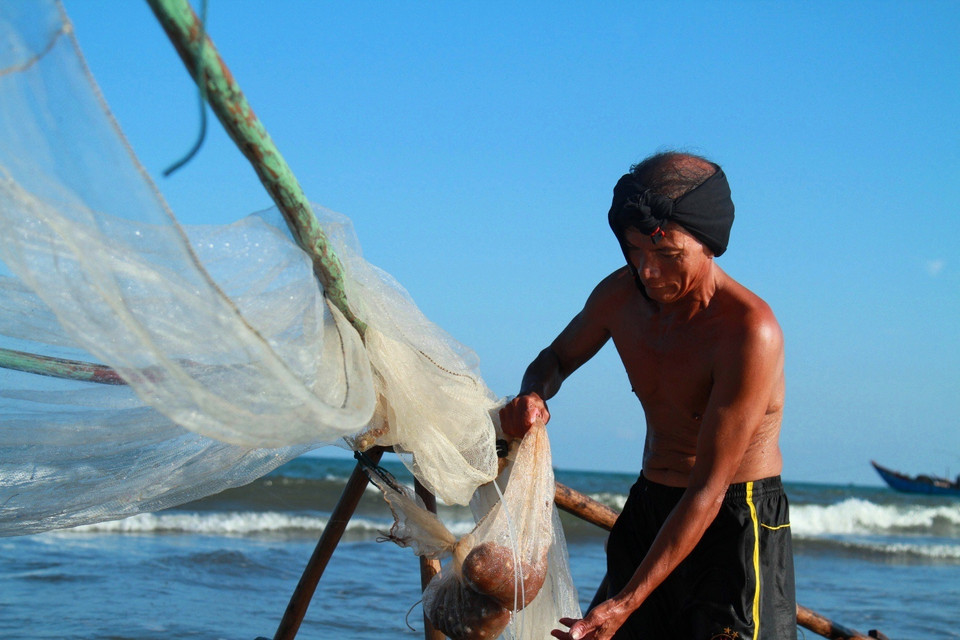 Khi ruốc đã ráo nước, cho vào tô lớn vắt chanh, ướp khoảng 10-15 phút cho ruốc chín và không còn mùi tanh rồi cho thêm chút đường, tiêu, gừng thái chỉ, ớt cắt mỏng, rau thơm... vào là thành món gỏi ruốc. (Ảnh: Xuân Mai/Vietnam+)