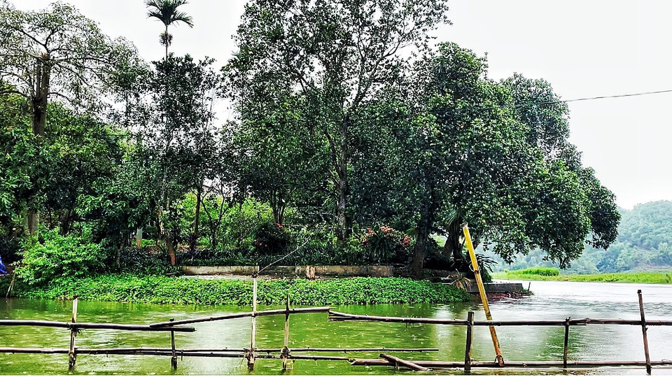 Dưới thung lũng là những đồi cây ăn trái, cây trà, keo lai, bồ đề, bạch đàn... xanh tốt. (Ảnh: Xuân Mai/Vietnam+)