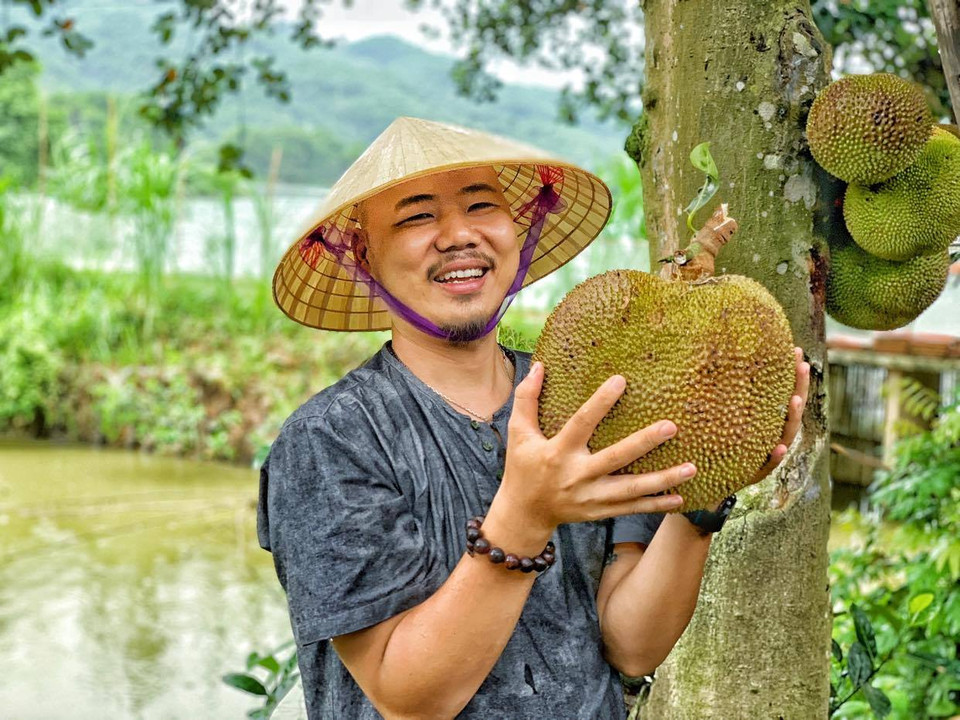 Hái mít chín cây xuống và ăn luôn tại chỗ, còn gì thích thú hơn với người dân thành phố. (Ảnh: Xuân Mai/Vietnam+)