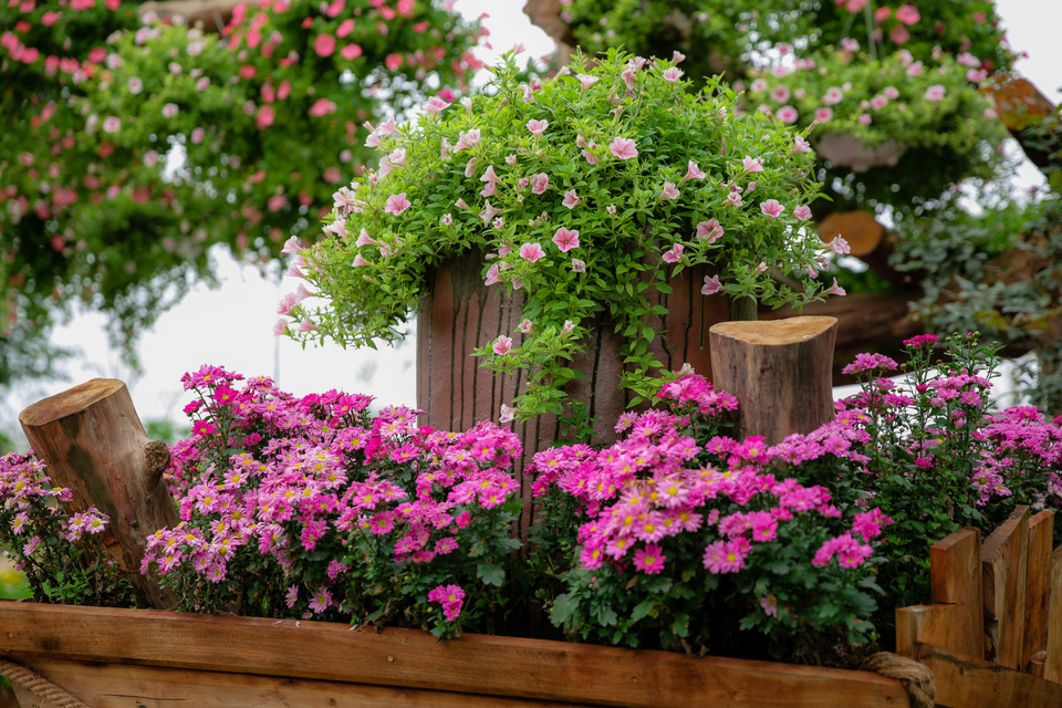 (Ảnh: CTV/Vietnam+)