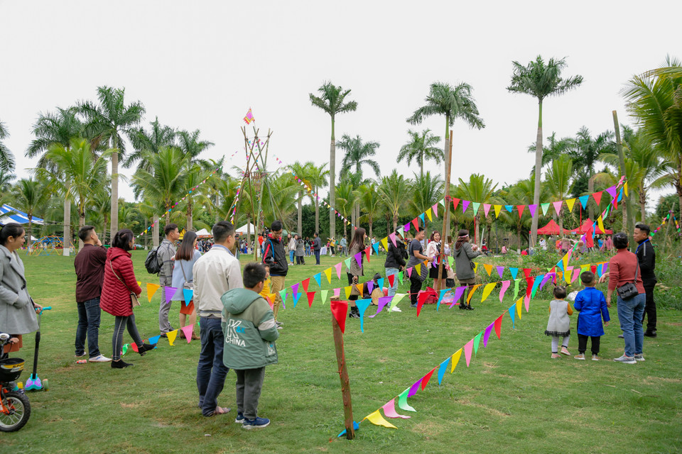 Để đảm bảo chất lượng hoa được tốt nhất, Lễ hội Xuân Ecopark 2020 sẽ được tổ chức trong một tuần. Thời gian mở cửa đón khách từ chiều ngày 26/1 (mùng 2 âm lịch) đến hết ngày 02/2 (mùng 9 âm lịch) tại Công viên Hồ thiên nga, khu đô thị Ecopark. (Ảnh: CTV/Vietnam+)