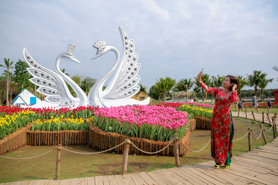 (Ảnh: CTV/Vietnam+)