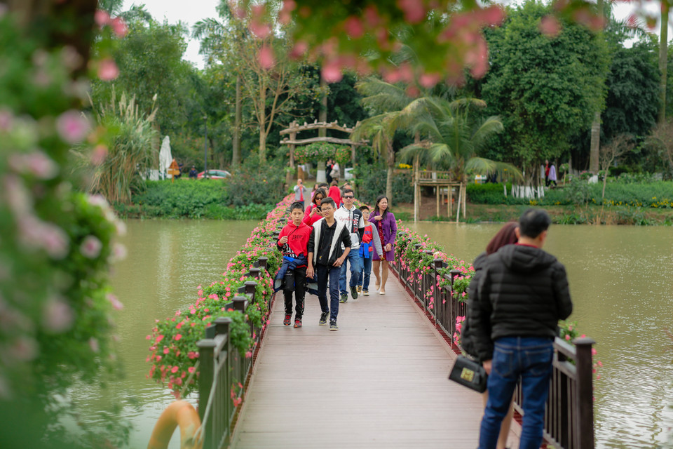 (Ảnh: CTV/Vietnam+)