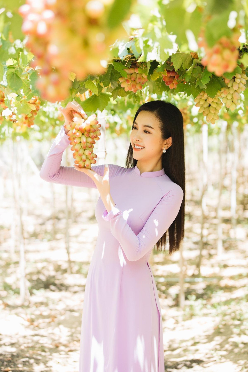 (Ảnh: Viết Quý/Vietnam+)