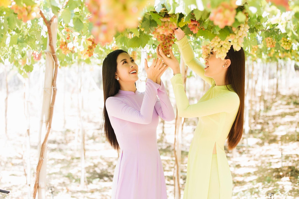 (Ảnh: Viết Quý/Vietnam+)