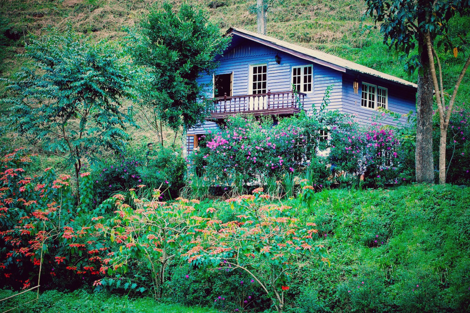 Thậm chí ở trong rừng sâu, những 'ngôi nhà gỗ cổ tích' cũng được tô điểm bằng rất nhiều màu sắc hoa. (Ảnh: Mai Mai/Vietnam+)