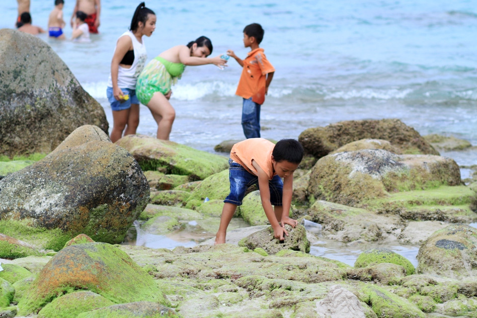 Trẻ em đi bắt cua, ốc ở bãi Nồm... (Ảnh: Xuân Mai/Vietnam+)
