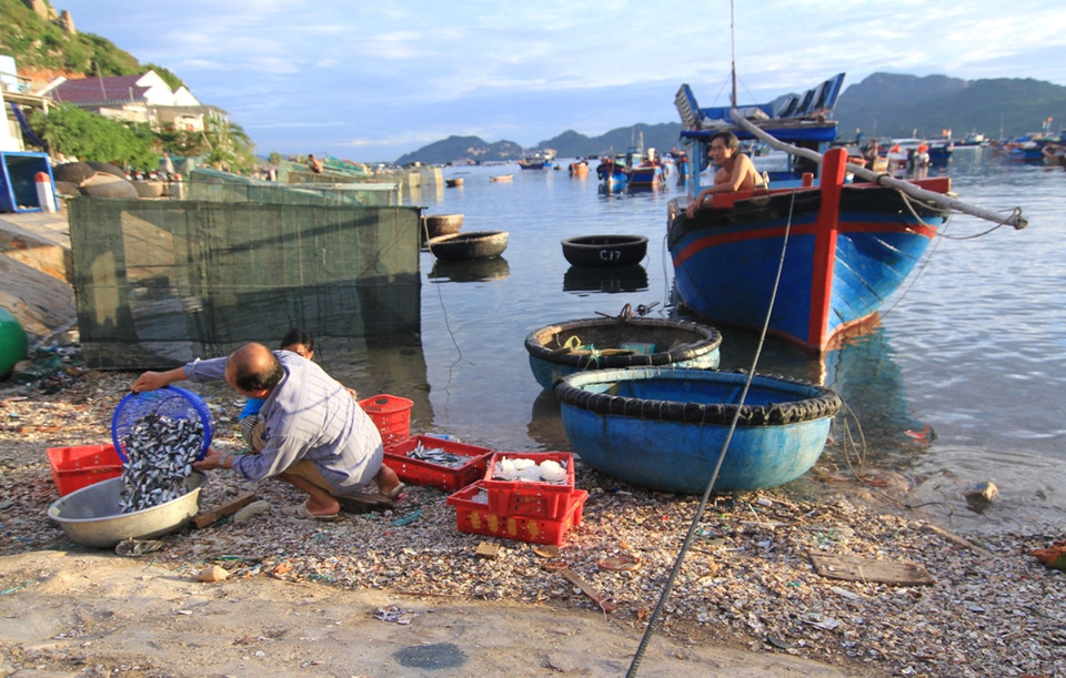 Sớm mai trên đảo. (Ảnh: Xuân Mai/Vietnam+)