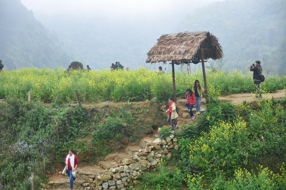 (Ảnh: Hương Thu/TTXVN)